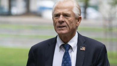 Peter navarro net worth