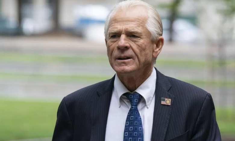 Peter navarro net worth